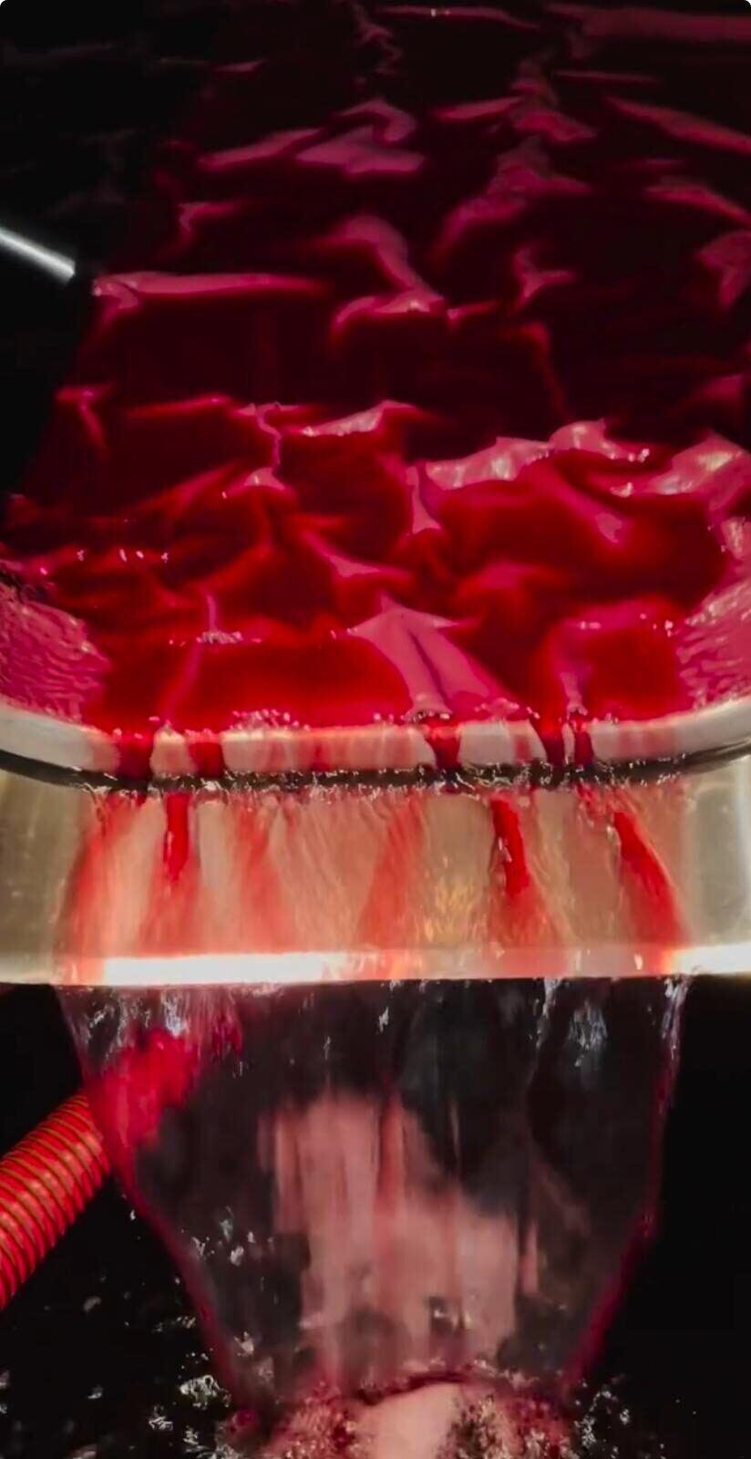 Travaso del vino